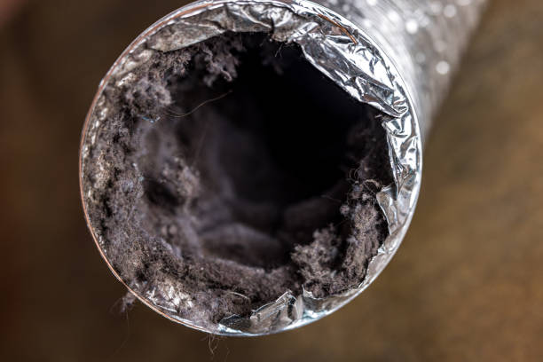Best Emergency Air Duct Cleaning  in Lexington, IL