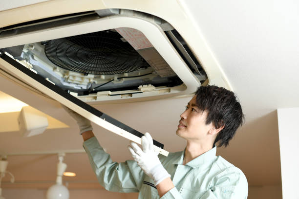 Air Duct Mold Removal in Lexington, IL
